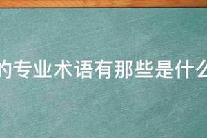 篮球训练动作专业术语叫什么名字